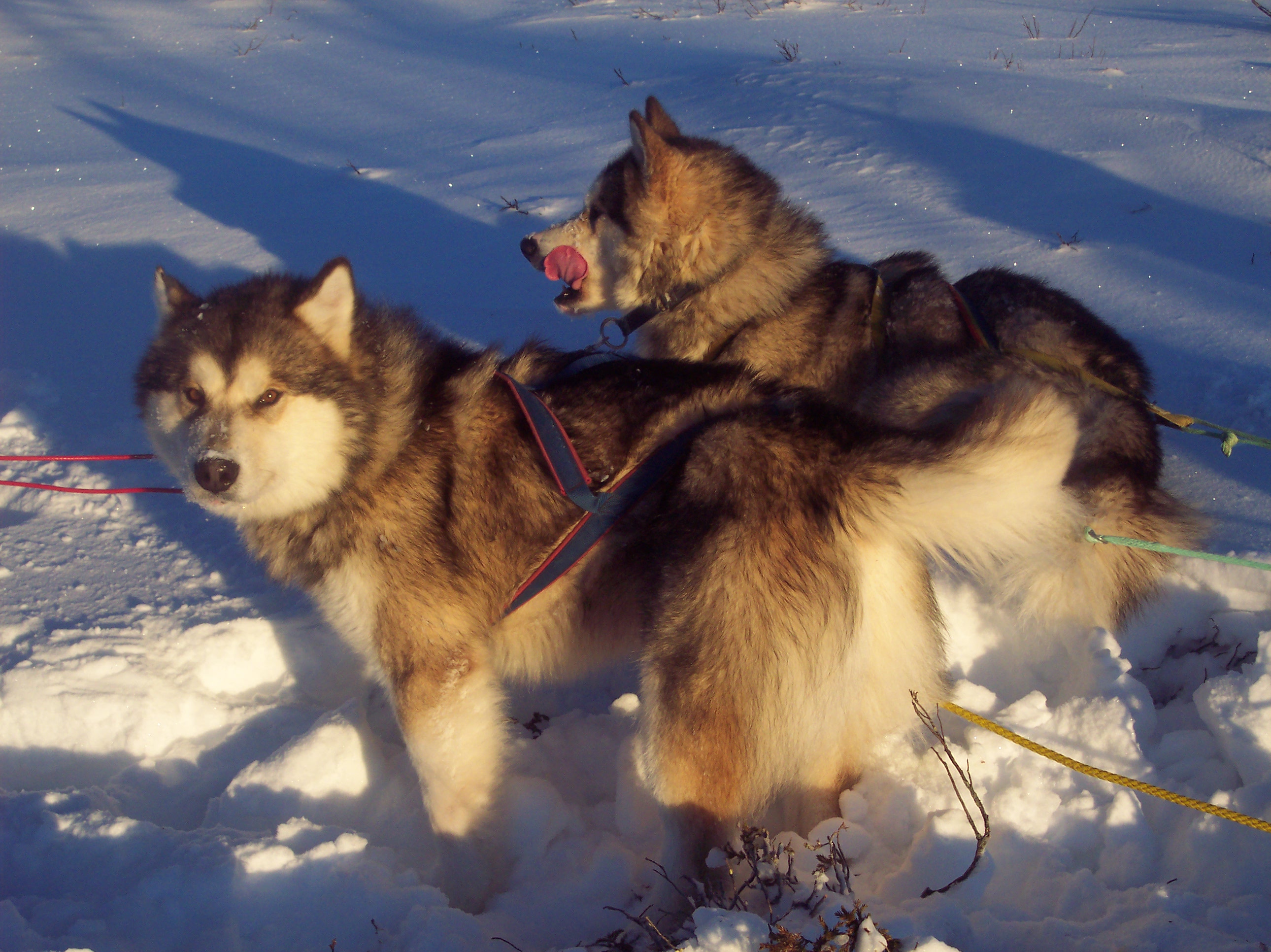 Schweden04.JPG (2580 x 1932)